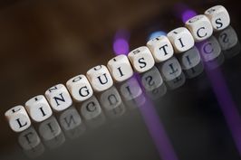 Cover image for The Applied Linguist visa 