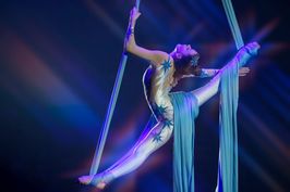 Cover image for The Aerial Dancer Visa  
