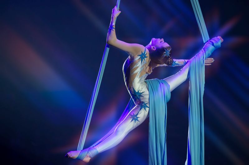 Cover image for The Aerial Dancer Visa  
