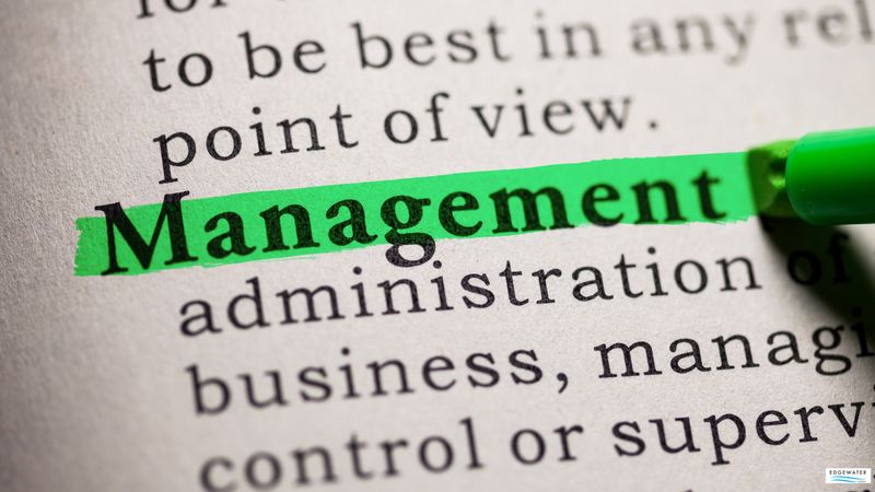 Cover image for UK Visas for Management and Business Studies practitioners