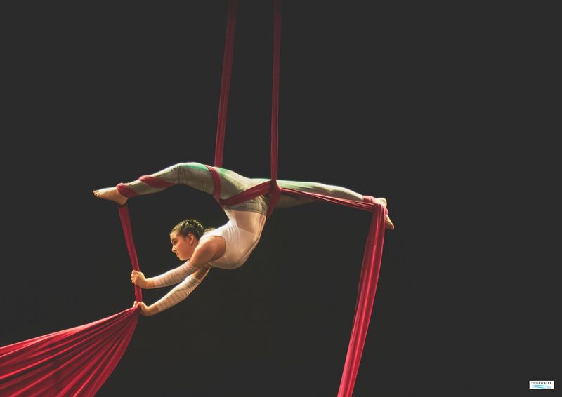 Cover image for The Aerial Dancer Visa  
