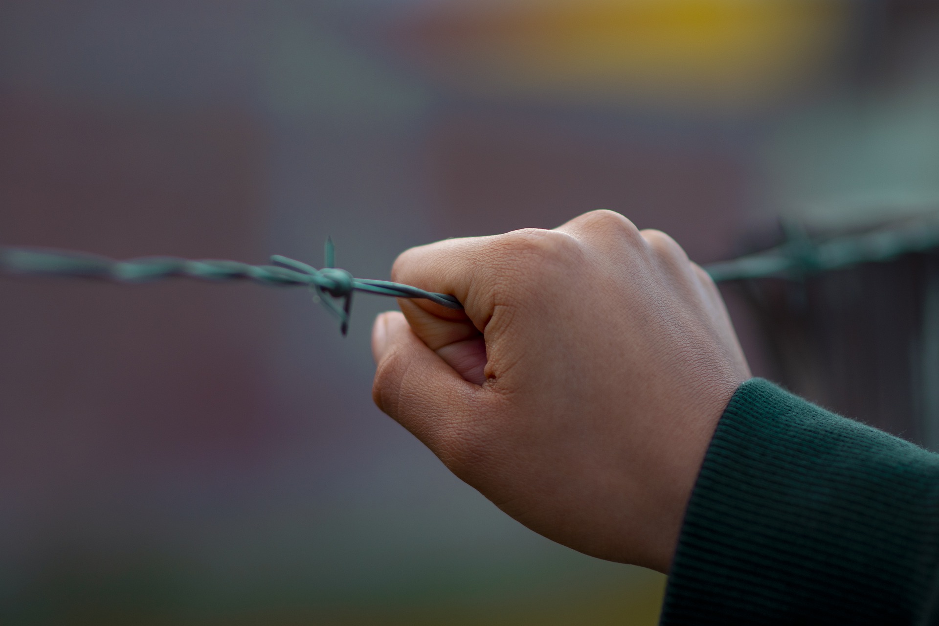 Sustainable decisionmaking in deportation appeals Edgewater Legal